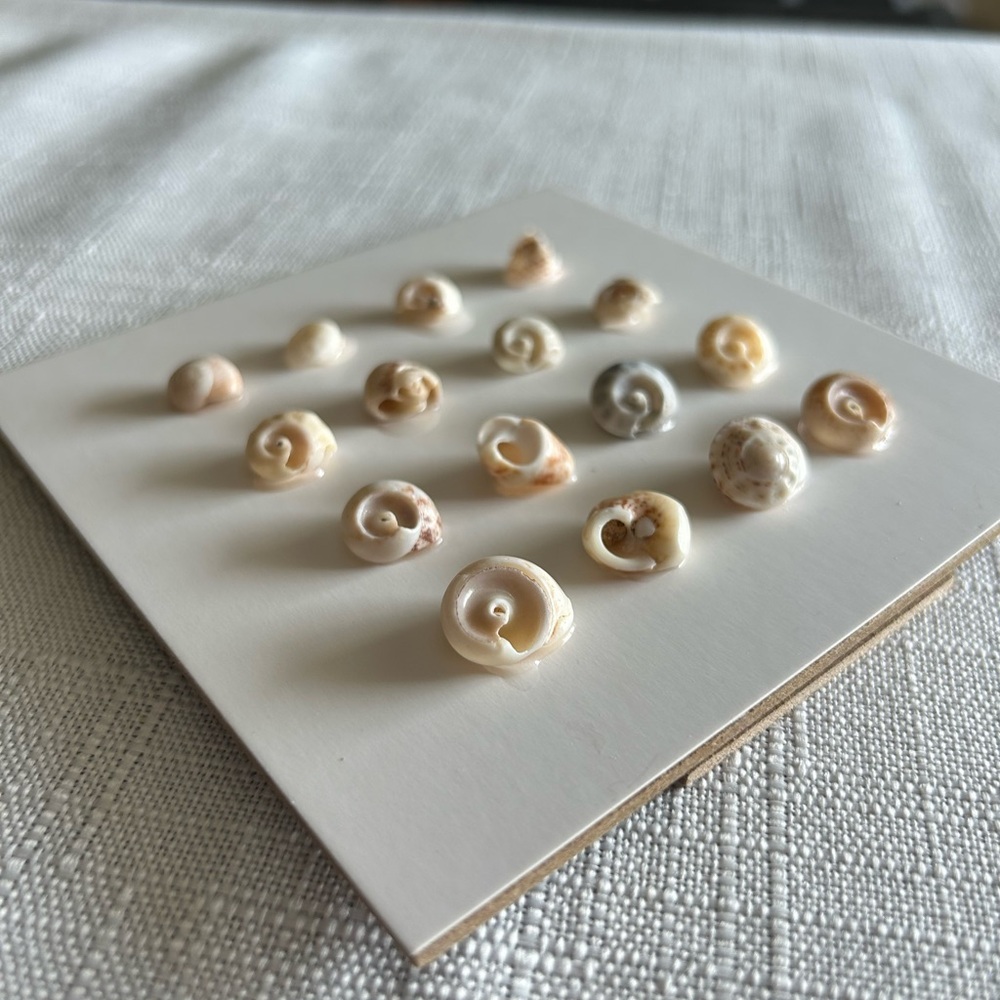 Handmade Framed Shell Art - Picture 5 of 9